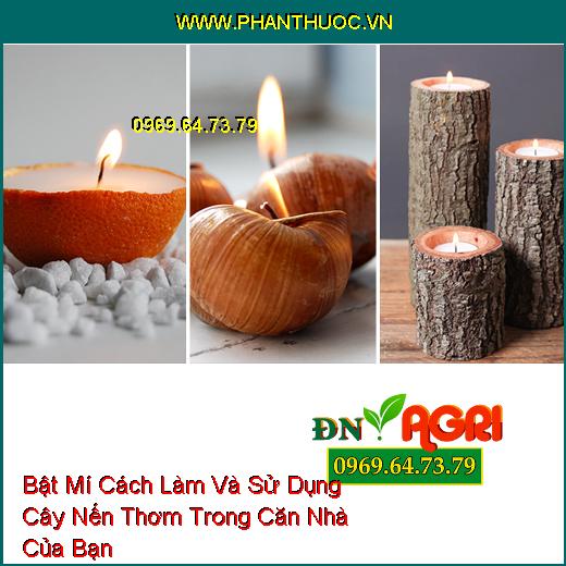 Bật Mí Cách Làm Và Sử Dụng Cây Nến Thơm Trong Căn Nhà Của Bạn