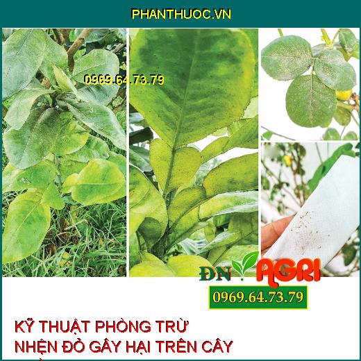 KỸ THUẬT PHÒNG TRỪ NHỆN ĐỎ GÂY HẠI TRÊN CÂY TRỒNG