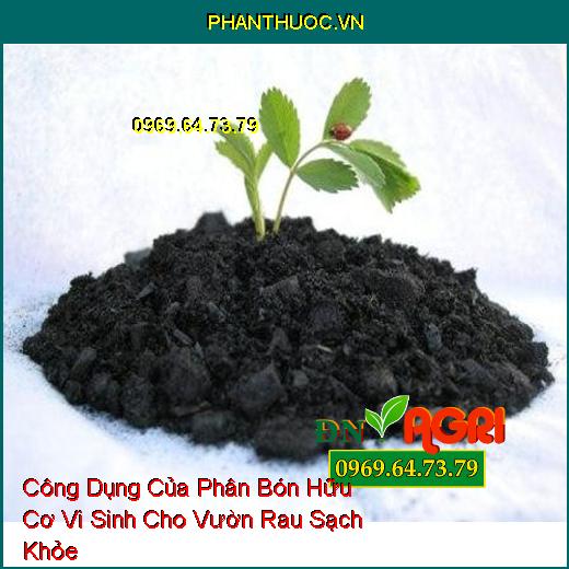 Công Dụng Của Phân Bón Hữu Cơ Vi Sinh Cho Vườn Rau Sạch Khỏe