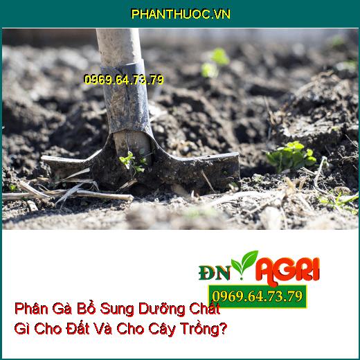 Phân Gà Bổ Sung Dưỡng Chất Gì Cho Đất Và Cho Cây Trồng?