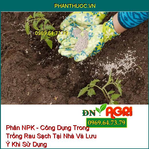 Phân NPK - Công Dụng Trong Trồng Rau Sạch Tại Nhà Và Lưu Ý Khi Sử Dụng