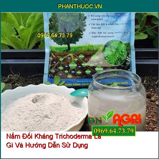 Nấm Đối Kháng Trichoderma Là Gì Và Hướng Dẫn Sử Dụng 