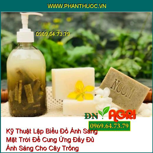 Chia Sẻ Cho Bạn Cách Làm Xà Phòng Rửa Tay Ngay Tại Nhà Đơn Giản Mà Hiệu Quả