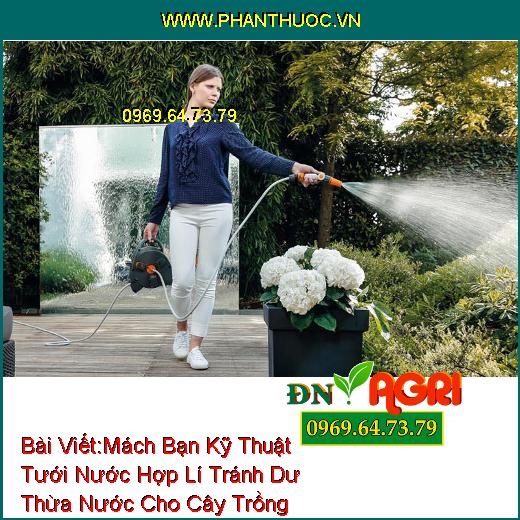 Mách Bạn Kỹ Thuật Tưới Nước Hợp Lí Tránh Dư Thừa Nước Cho Cây Trồng