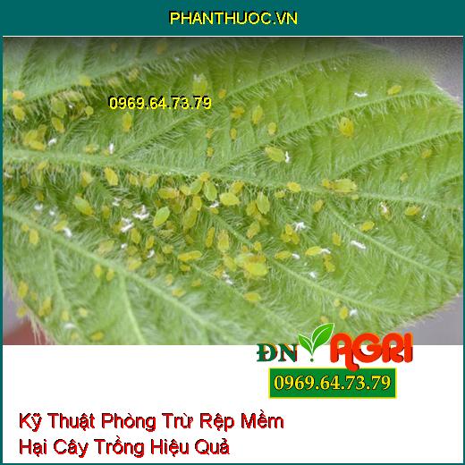 Kỹ Thuật Phòng Trừ Rệp Mềm Hại Cây Trồng Hiệu Quả