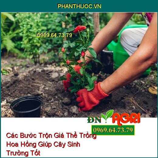 Các Bước Trộn Giá Thể Trồng Hoa Hồng Giúp Cây Sinh Trưởng Tốt