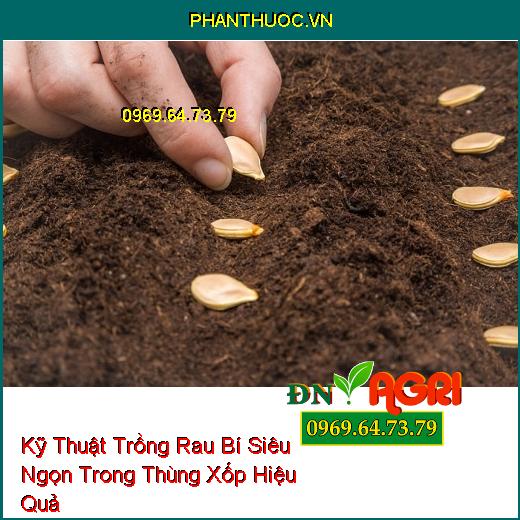 Kỹ Thuật Trồng Rau Bí Siêu Ngọn Trong Thùng Xốp Hiệu Quả