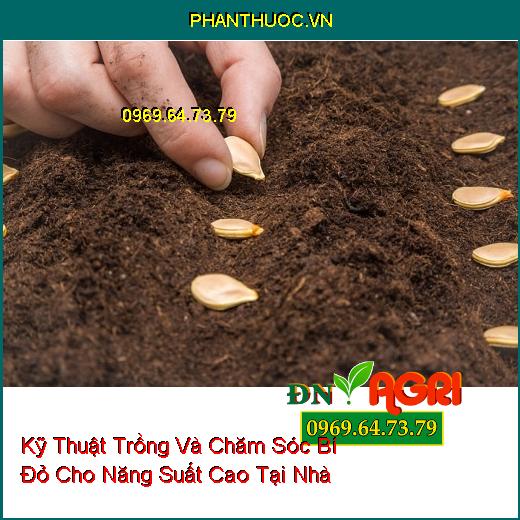 Kỹ Thuật Trồng Và Chăm Sóc Bí Đỏ Cho Năng Suất Cao Tại Nhà