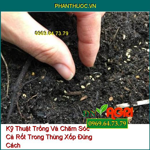 Kỹ Thuật Trồng Và Chăm Sóc Cà Rốt Trong Thùng Xốp Đúng Cách