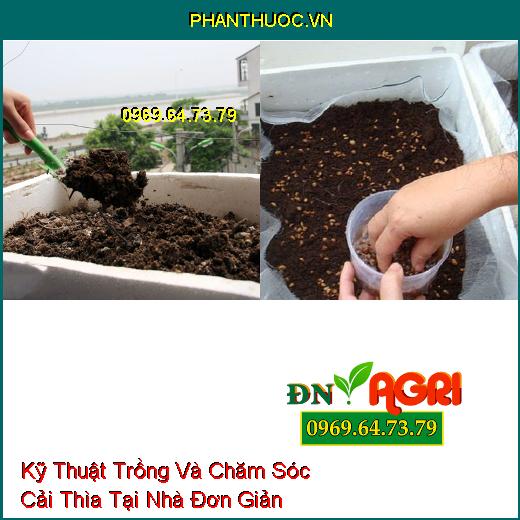 Kỹ Thuật Trồng Và Chăm Sóc Cải Thìa Tại Nhà Đơn Giản