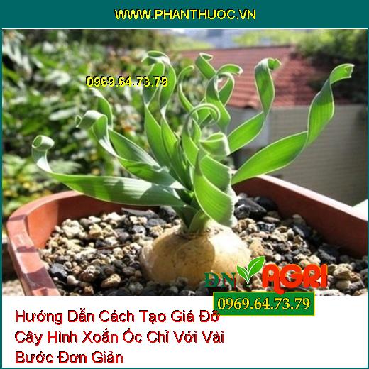 Hướng Dẫn Cách Tạo Giá Đỡ Cây Hình Xoắn Ốc Chỉ Với Vài Bước Đơn Giản