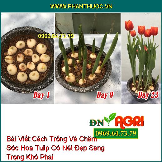 WWW.PhanThuoc.VN