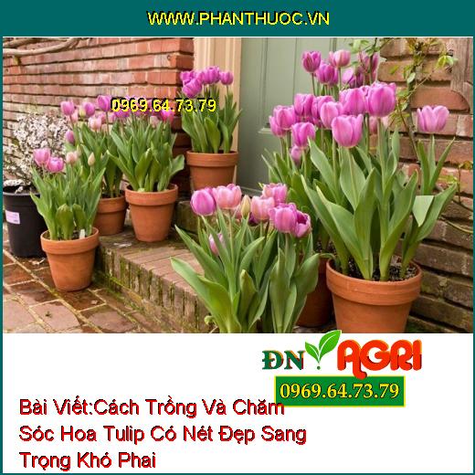 WWW.PhanThuoc.VN