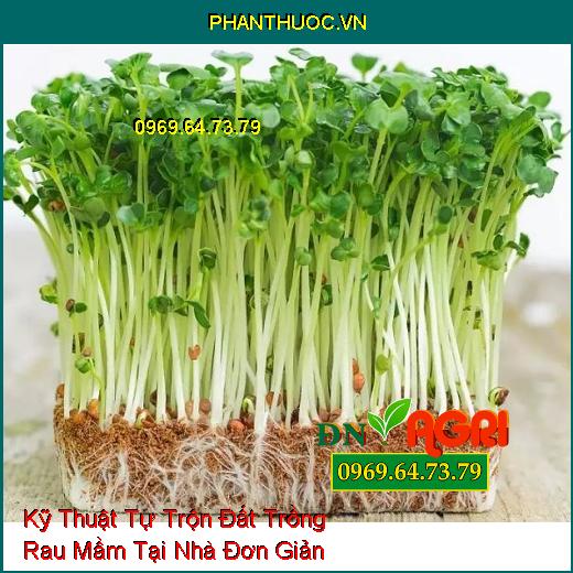 Kỹ Thuật Tự Trộn Đất Trồng Rau Mầm Tại Nhà Đơn Giản