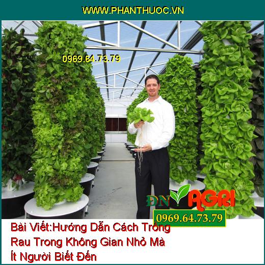 Hướng Dẫn Cách Trồng Rau Trong Không Gian Nhỏ Mà Ít Người Biết Đến