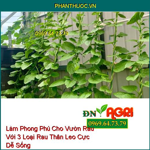 Làm Phong Phú Cho Vườn Rau Với 3 Loại Rau Thân Leo Cực Dễ Sống 