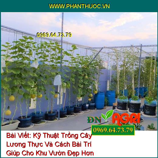 Kỹ Thuật Trồng Cây Lương Thực Và Cách Bài Trí Giúp Cho Khu Vườn Đẹp Hơn