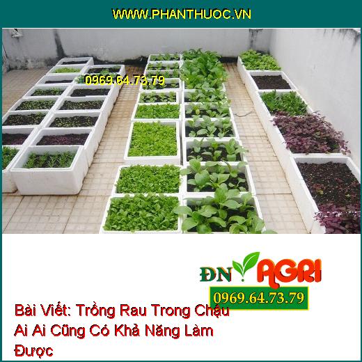 Trồng Rau Trong Chậu Ai Ai Cũng Có Khả Năng Làm Được 