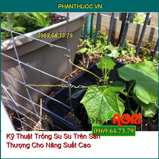 Kỹ Thuật Trồng Su Su Trên Sân Thượng Cho Năng Suất Cao