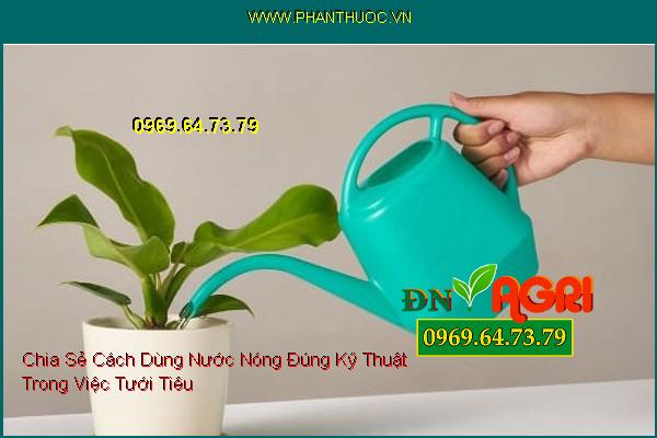 Chia Sẻ Cách Dùng Nước Nóng Đúng Kỹ Thuật Trong Việc Tưới Tiêu