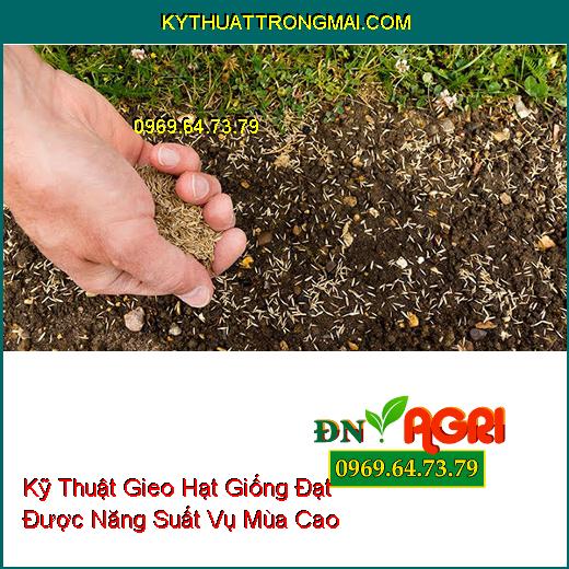 Kỹ Thuật Gieo Hạt Giống Đạt Được Năng Suất Vụ Mùa Cao