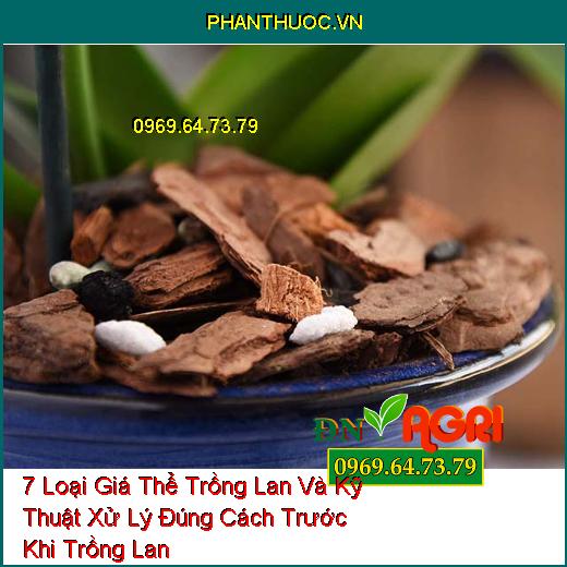 7 Loại Giá Thể Trồng Lan Và Kỹ Thuật Xử Lý Đúng Cách Trước Khi Trồng Lan