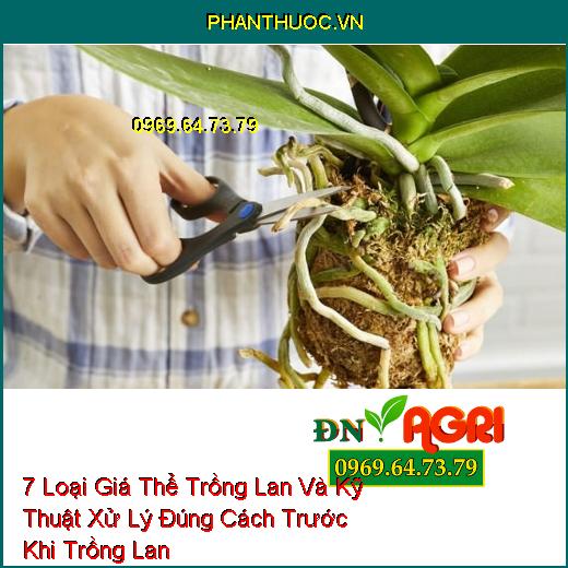 7 Loại Giá Thể Trồng Lan Và Kỹ Thuật Xử Lý Đúng Cách Trước Khi Trồng Lan