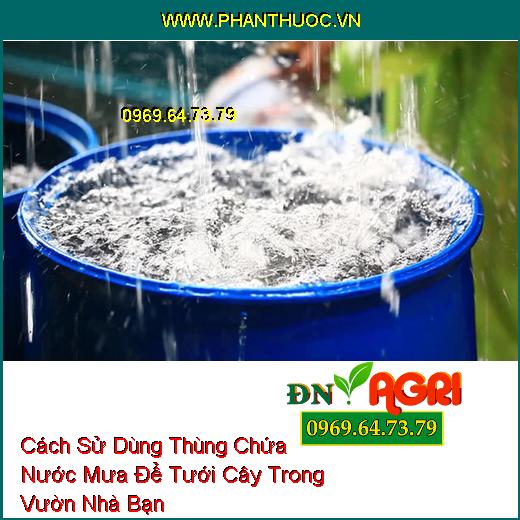 Cách Sử Dùng Thùng Chứa Nước Mưa Để Tưới Cây Trong Vườn Nhà Bạn