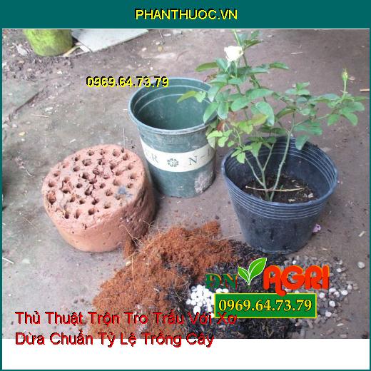 Thủ Thuật Trộn Tro Trấu Với Xơ Dừa Chuẩn Tỷ Lệ Trồng Cây