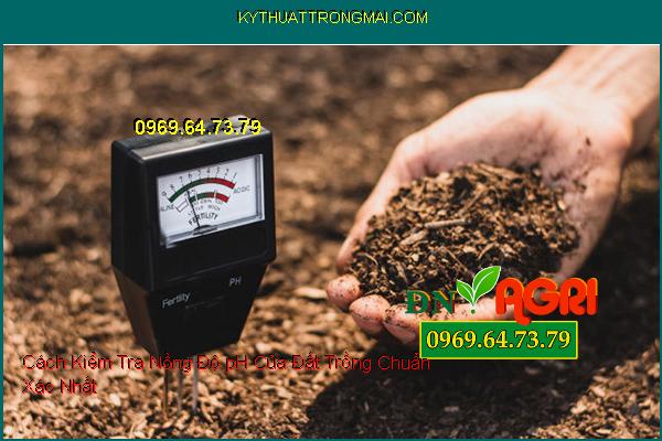 Cách Kiểm Tra Nồng Độ pH Của Đất Trồng Chuẩn Xác Nhất