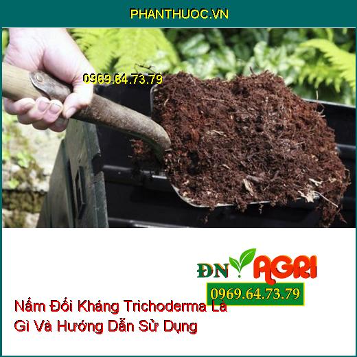 Nấm Đối Kháng Trichoderma Là Gì Và Hướng Dẫn Sử Dụng 