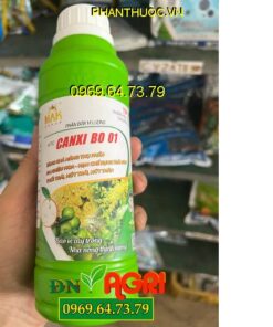 CANXI BO 01- Tăng Thụ Phấn- Ra Nhiều Hoa- Hạn Chế Rụng Trái Non- Thối Trái