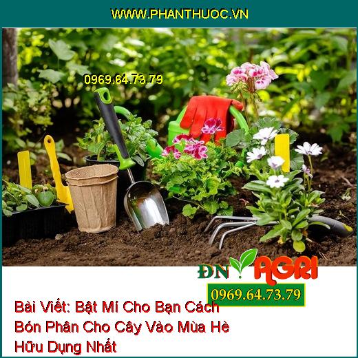 Bật Mí Cho Bạn Cách Bón Phân Cho Cây Vào Mùa Hè Hữu Dụng Nhất