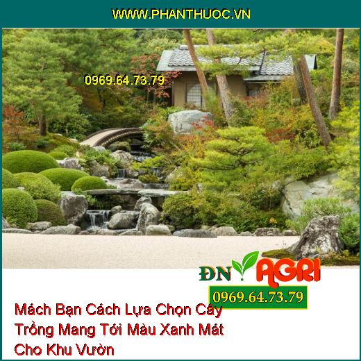 Mách Bạn Cách Lựa Chọn Cây Trồng Mang Tới Màu Xanh Mát Cho Khu Vườn