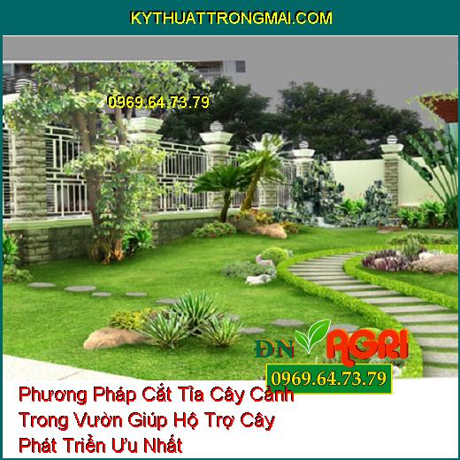 Phương Pháp Cắt Tỉa Cây Cảnh Trong Vườn Giúp Hộ Trợ Cây Phát Triển Ưu Nhất