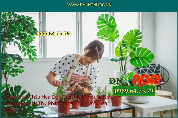 Cách Tạo Chậu Hoa Đơn Giản Mà Lôi Cuốn Các Loài Động Vật Thụ Phấn Trong Khu Vườn Nhà Bạn