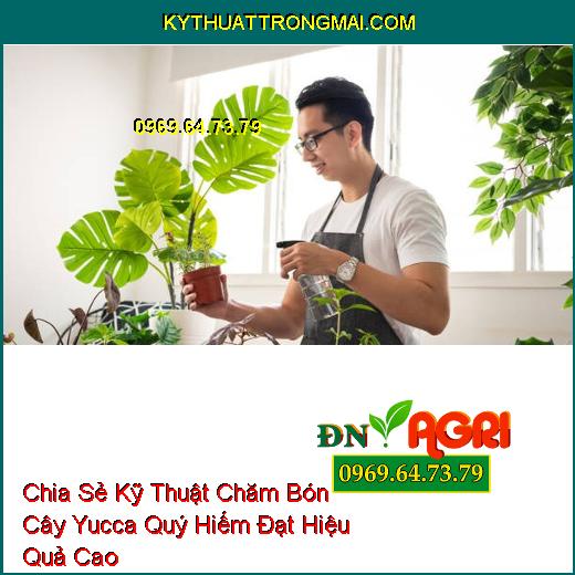 Chia Sẻ Kỹ Thuật Chăm Bón Cây Yucca Quý Hiếm Đạt Hiệu Quả Cao