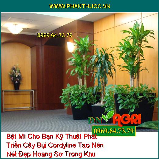 Bật Mí Cho Bạn Kỹ Thuật Phát Triển Cây Bụi Cordyline Tạo Nên Nét Đẹp Hoang Sơ Trong Khu Vườn