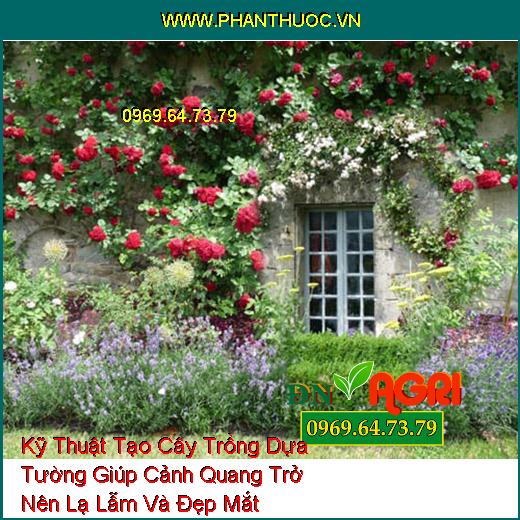 Kỹ Thuật Tạo Cây Trồng Dựa Tường Giúp Cảnh Quang Trở Nên Lạ Lẫm Và Đẹp Mắt