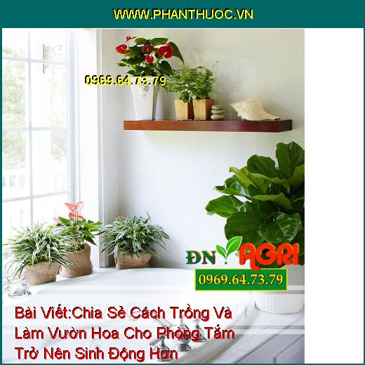 Chia Sẻ Cách Trồng Và Làm Vườn Hoa Cho Phòng Tắm Trở Nên Sinh Động Hơn