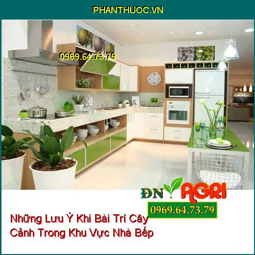 Những Lưu Ý Khi Bài Trí Cây Cảnh Trong Khu Vực Nhà Bếp