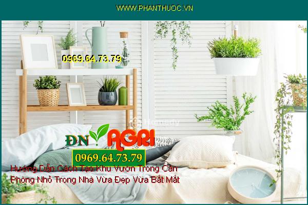 Hướng Dẫn Cách Tạo Khu Vườn Trong Căn Phòng Nhỏ Trong Nhà Vừa Đẹp Vừa Bắt Mắt