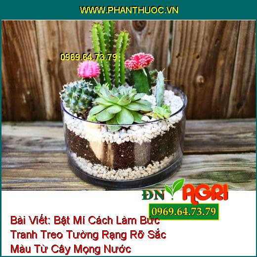 Bài Viết: Bật Mí Cách Làm Bức Tranh Treo Tường Rạng Rỡ Sắc Màu Từ Cây Mọng Nước