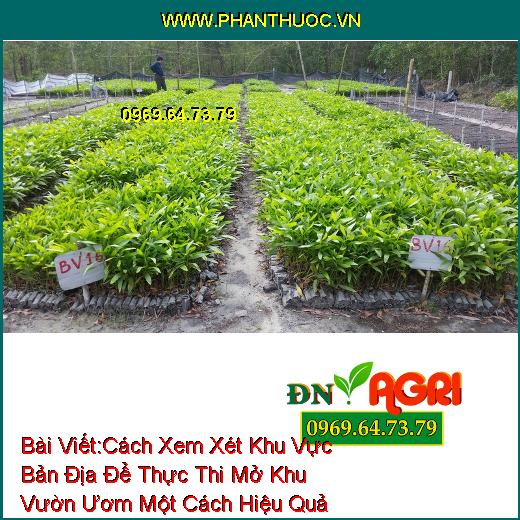 Cách Xem Xét Khu Vực Bản Địa Để Thực Thi Mở Khu Vườn Ươm Một Cách Hiệu Quả Mà Bạn Nên Biết