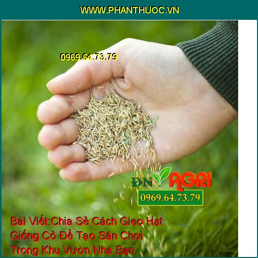 Chia Sẻ Cách Gieo Hạt Giống Cỏ Để Tạo Sân Chơi Trong Khu Vườn Nhà Bạn