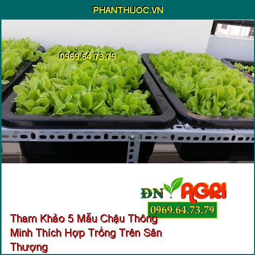 Tham Khảo 5 Mẫu Chậu Thông Minh Thích Hợp Trồng Trên Sân Thượng