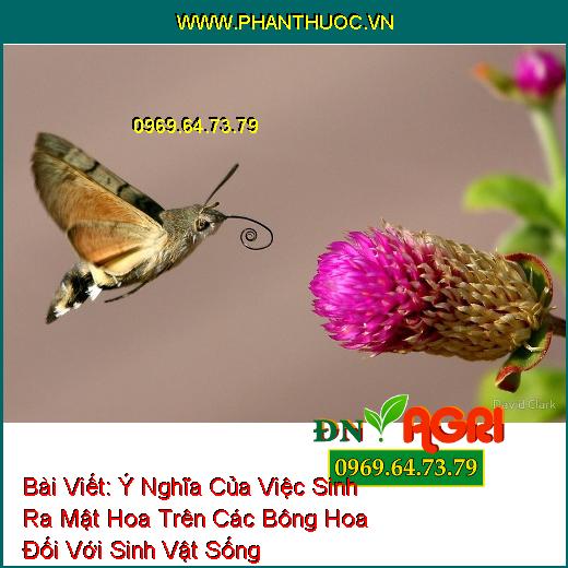 Ý Nghĩa Của Việc Sinh Ra Mật Hoa Trên Các Bông Hoa Đối Với Sinh Vật Sống 