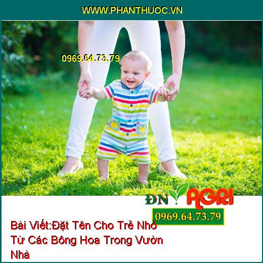 Đặt Tên Cho Trẻ Nhỏ Từ Các Bông Hoa Trong Vườn Nhà