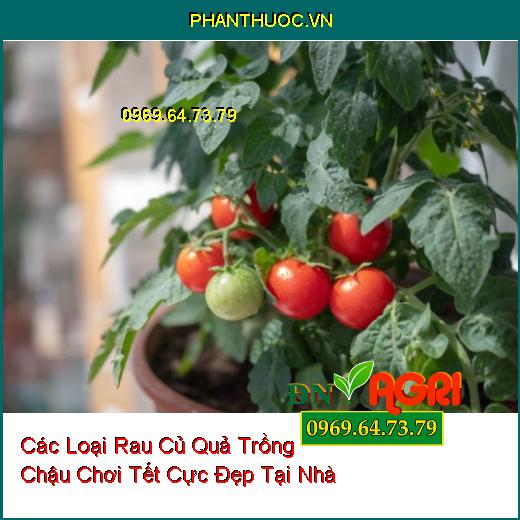 Các Loại Rau Củ Quả Trồng Chậu Chơi Tết Cực Đẹp Tại Nhà