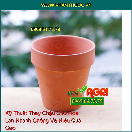 Kỹ Thuật Thay Chậu Cho Hoa Lan Nhanh Chóng Và Hiệu Quả Cao